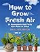 How To Grow Fresh Air: 50 Houseplants That Purify Your Home Or Office: 50 Houseplants That Purify Yo by Bill Wolverton (2008-08-01)