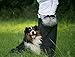 FUZZY JAY Agility Training Bag - Dog Treat Pouch (Grey/Yellow)
