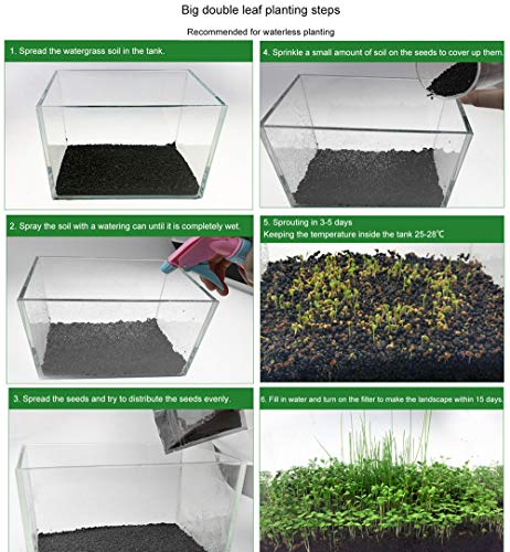 Zafina Aquarium Grass Plant Seeds, Easy to Grow Aquatic Plant Seeds, Fast Growing Aquarium Carpet Seeds - Creates a Natural Ecosystem for Your Fish