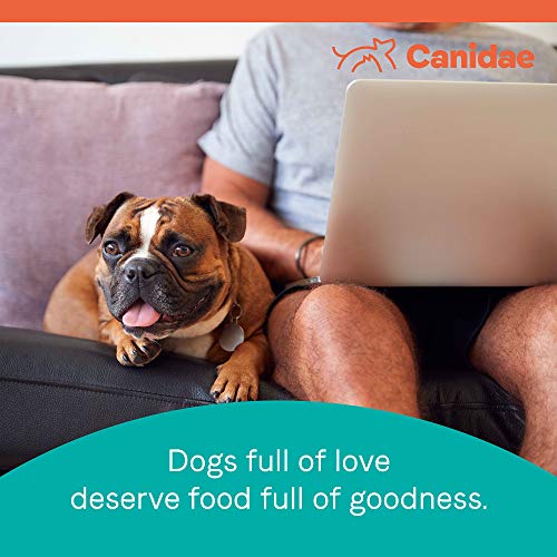 canidae weight management