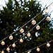 Lux Light G40 Clear Globe Ball String Lights 25 Feet - Indoor/Outdoor Rope Lights for Patio, Decoration, Events, Christmas, Fairy, Seasonal & Parties - Green