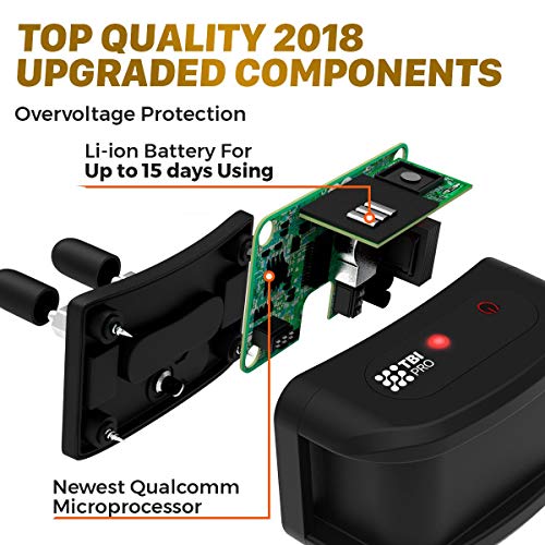 1 Collar+Shock+Rechargeable+Dogs+Small