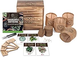 Cactus Kit de semillas de suculentas para principiantes - Kit de ...