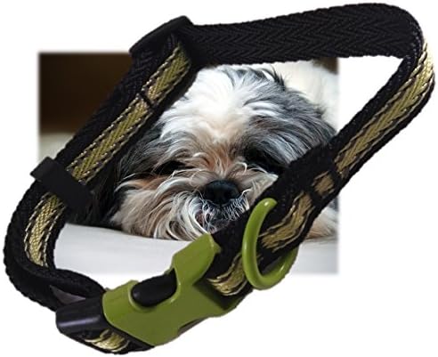 Genie Best Reflective Dog Collar With Metal Buckle & D-Ring For Medium Dogs. Free Leather Keychains & eGuide (Green)