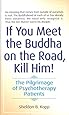 If You Meet the Buddha on the Road, Kill Him! The Pilgrimage of Psychotherapy Patients