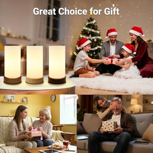 HSLighting Bedside Lamps, Touch Control Glass Table Lamp 3-Way Dimmable Wooden Grained Base Small Touch Lamps Bedside Minimalist Nightstand for Christmas Living Room Bedroom Decor Gift, Include Bulb