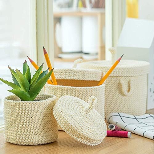 AURALEAP Woven Storage Basket with Lid,Made by Polypropylen, Used as The Desk Organizer, Bathroom Organizer, Cosmetic Organizer, Pencil and Remote Control Holder, Foldable, Set of 3.