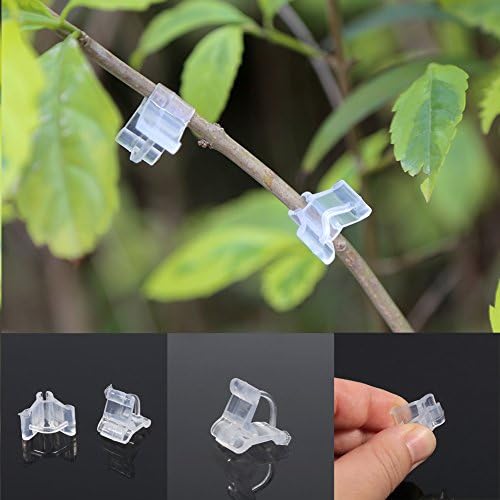 Fdit 100 pinzas para manualidades con clip para plantas, diseño de ...