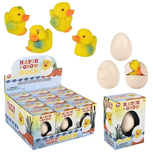 Rhode Island Novelty Small Hatch and Grow Duck Egg 12 Pack
