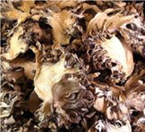 OliveNation Maitake Mushrooms 16 oz