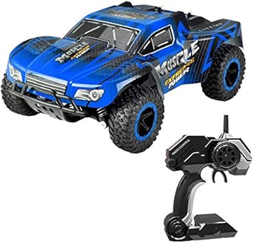 coches rc gasolina amazon