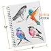 glokers Book-2 Pack-100 Sheets Each Sketch Pad-Acid Free, Medium Weight Pencils, Charcoal, Oil Pastels, and Other Dry Media – Extra Durable Spiral Binding-9X12 Inch Paper, White 2 Piece