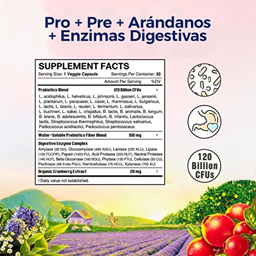 Blanca Probióticos para mujer Vitalitown Con prebióticos, enzimas digestivas y arándanos Vegano y sin OMG 30 cápsulas vegetales 30 cepas