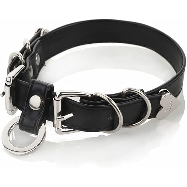Bague Esclave Gothique En Inox Argenté - Taille 63 (20 Mm) - Motif Bondage Punk - Neuf Sans Emballage