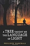 A Tree Taught Me The Language Of Light by 