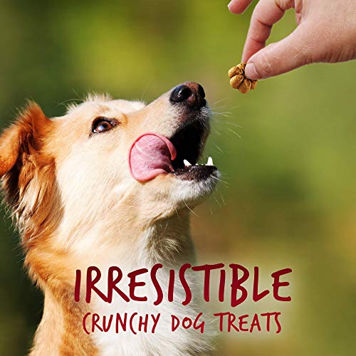 Fruitables Greek Yogurt Dog Treats Healthy Treats for Dogs Baked