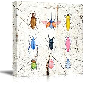 Square Canvas Wall Art - Colorful Beetles Insectson Vintage Wood Effect Background - Giclee Print Gallery Wrap Modern Home Art Ready to Hang - 12x12 inches