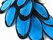 Moonlight Feather | 1 Dozen - Turquoise Blue Whiting Farms Laced Hen Saddle Feathers Craft Fly Tying