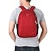 Pacsafe Metrosafe LS350 Anti-Theft 15L Backpack, Vintage Red