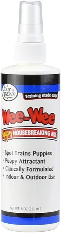 mini australian goldendoodle