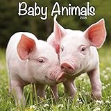 Turner Licensing Photographic Baby Animals 2018 Wall Calendar  (18998940006)