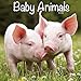 Turner Licensing Photographic Baby Animals 2018 Wall Calendar  (18998940006)