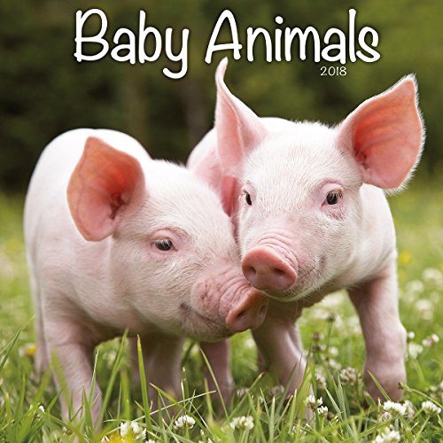 Turner Licensing Photographic Baby Animals 2018 Wall Calendar  (18998940006)