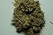 A+ Organic 1 oz Imphepho - Helichrysum odoratissimum