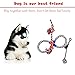 Jomilly 12 Pcs Puppy Teething Plush Toys Dog Toys Pack Ball Rope Durable Shrilling Chicken Chew Toy Multi Pattern for Small Medium Dogs