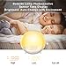 Alarm Clock Wake Up Light,XIRON Light Alarm Clock with Sunrise/Sunset Simulation,Dual Alarms and Snooze Function, 7 Colour Atmosphere Lamp, 7 Natural Sounds and FM Radio for Kids Adults Bedroom