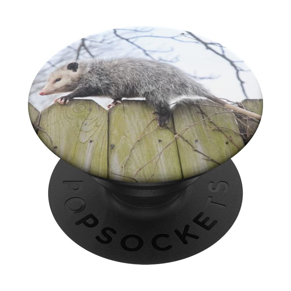 Opossum PopSockets Swappable PopGrip