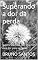 Livro Superando a dor da perda: Supere seu luto, não viva com essa dor para sempre!