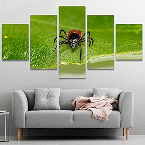 signwin 5 Panel Canvas Wall Art Insect on...