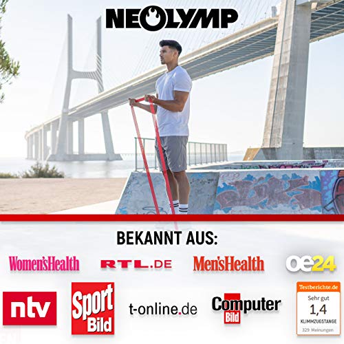 Heavy Resistance Bands für Krafttraining & Muskelaufbau – reißfest, kombinierbar & inkl. Übungs-E-Book