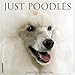2016 Just Poodles Wall Calendar