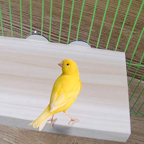 ZEROYOYO Wood Bird Stand Platform Natural Small Animals Habitat Toy Parakeet Perch for Bird Cages Accessories - Thumbnail 5