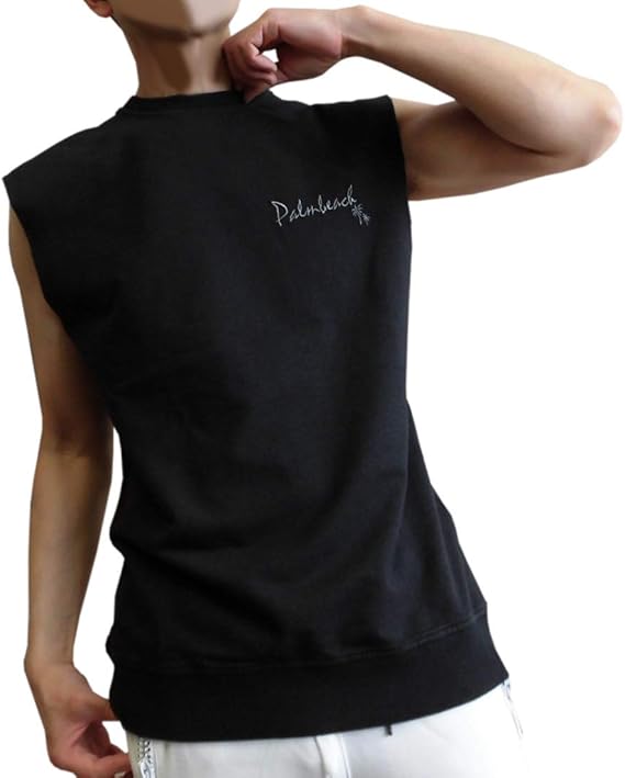 Amazon エボリューション Evolution ノースリーブ メンズ ｔシャツ 刺しゅう入り ワンポイント カットオフ ミニ裏毛 ピグメント ウォッシュ加工 Tシャツ カットソー 通販