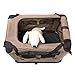 Favorite Top Load Soft Portable Car Travel Vet Visit Pet Dog Cat Carrierthumb 2