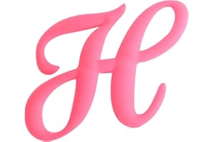 WISH YOUNG 3PCS Letter Charms Compatible with Bogg Bags,2.75 in Large Size Bag Inserts Accessories Decorative Charm for Beach Bag (Hot pink, H)