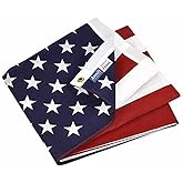 Annin Flagmakers Nylon American Flag, 16 x 24 Inch (Model 2500) 100% MADE in USA