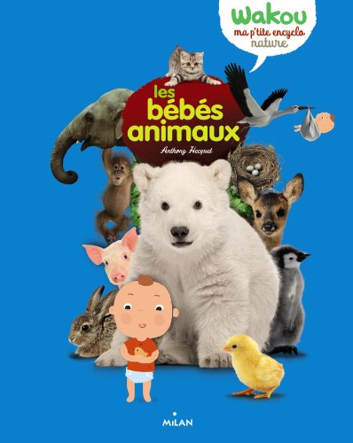 Les  bébés animaux