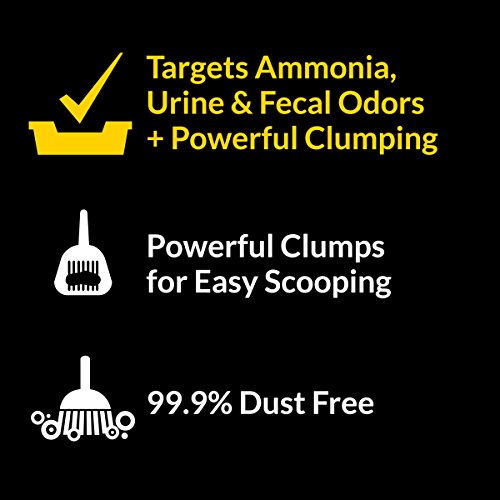 4 Purina+Tidy+Cats+Strength+Clumping