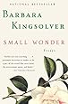 Small Wonder: Essays