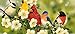 Evergreen Songbirds Decorative Floor Mat Insert, 10 x 22 inches