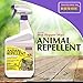 Bonide (BND127) - Ready to Use Hot Pepper Wax Animal Repellent (32 oz.) primary