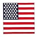 American Flag Bandana primary