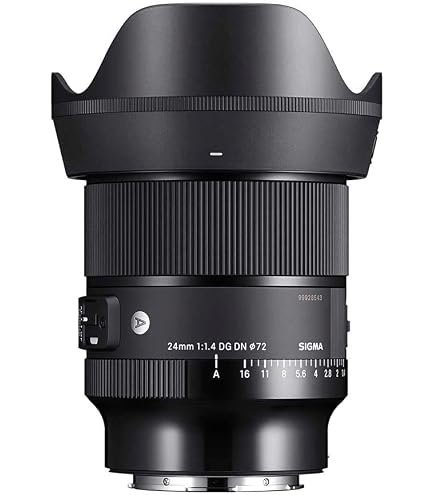 Amazon.com : 24mm F1.4 Art DG DN for Sony E Mount : Electronics