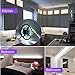 HitLights LED Strip Lights Cool White 5000K, 16.4ft High Density 12V Tape Light, UL-Listed, 600 LEDs, 300Lm/ft, Flexible Dimmable Rope Lights for Bedroom, Kitchen, Cabinet (Power Source Not Included)