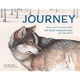 Walk With A Wolf Read And Wonder Janni Howker Sarah Fox Davies 0732483008722 Amazon Com Books