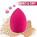 Gedone 5 Pcs Makeup Sponge Set Beauty Foundation Blending Sponge, Flawless for Liquid, Cream, and Powder, Multi-colored Makeup Sponges